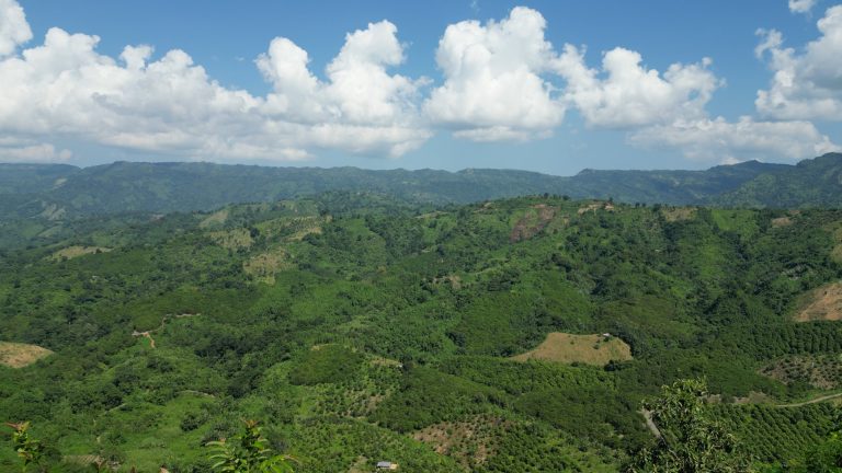 তমা তুঙ্গী