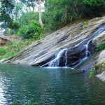 পালং খিয়াং