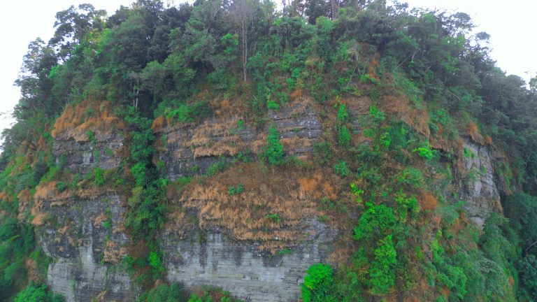 krishtong-to-rungrang-trail
