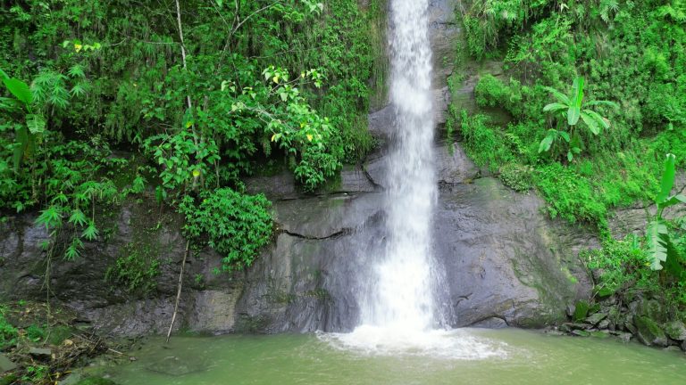 লামা মাছ ঝর্ণা