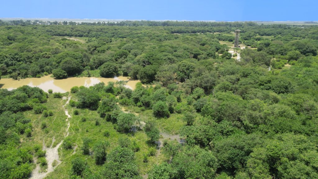 রাতারগুল সোয়াম্প ফরেস্ট, বাংলাদেশের একমাত্র জলাবদ্ধ বন