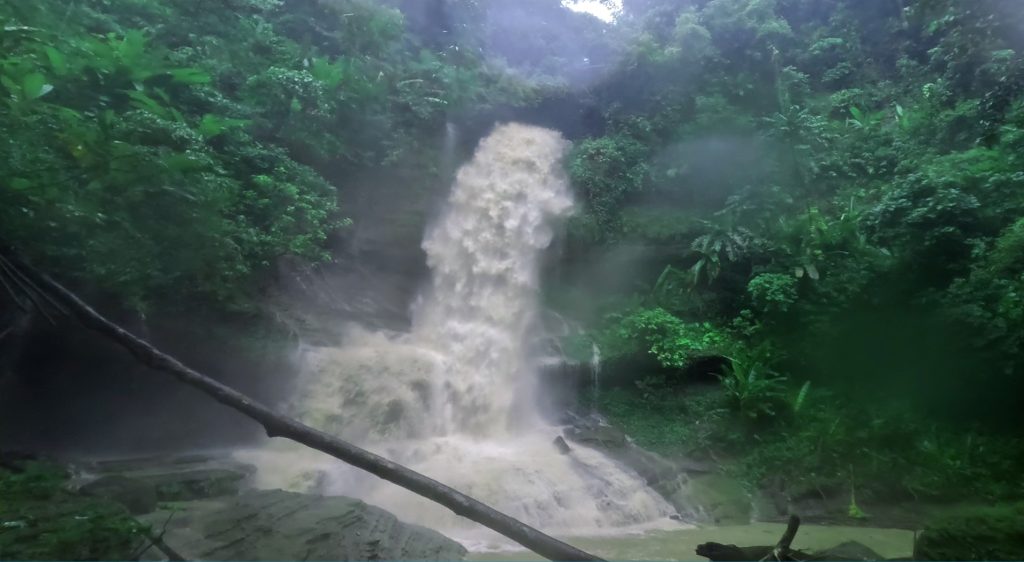 গাছকাটা ঝর্ণা