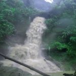 গাছকাটা ঝর্ণা